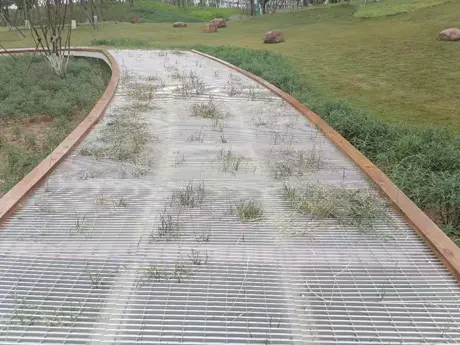 Parco Sentiero 1